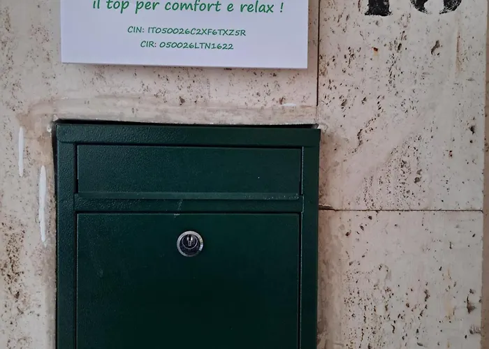 Coccinella Daire Pisa